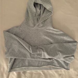 LAST CHANCE! TNA Heather Gray Hoodie
